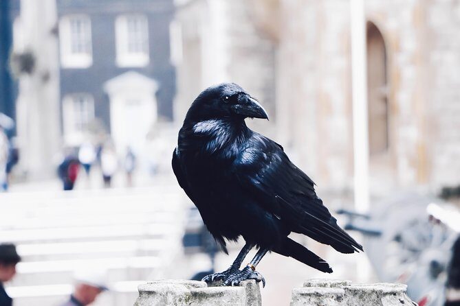 Private Tour of The Tower of London - Price and value: what $363.42 buys you in real time