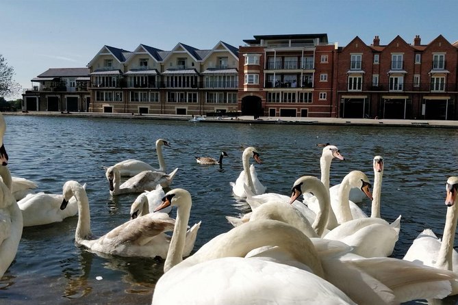 Private Windsor Roundtrip Transfer from London - Pickup that actually works: hotel within 5 km, or Embankment if not