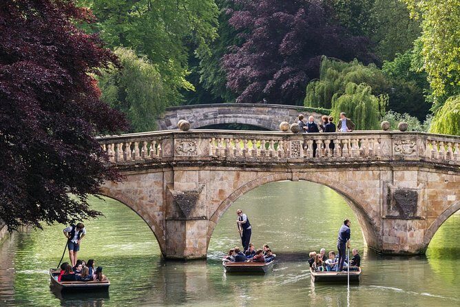Punting Tour in Cambridge - What the live narration adds (and why it often matters most)