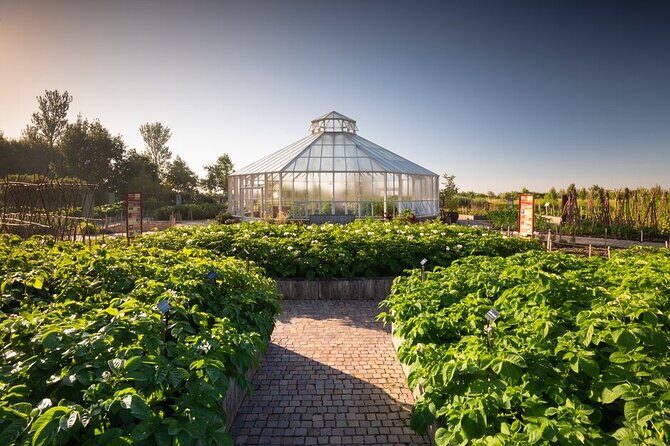 RHS Garden Hyde Hall - Getting the timing right: opening hours and how long to plan