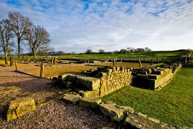 Romans and Hadrian's Wall Day Tour - Hadrian’s Wall walking route: towers, milecastles, Fell End, Sunny Rigg, Steel Rigg