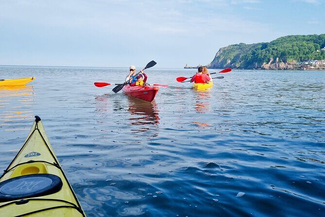 Sea Kayak Taster Tour 90 Minutes for 4 People - Timing, Meeting Point, and How to Plan Your Day in Torquay