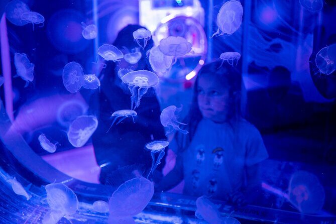 SEA LIFE Birmingham Admission Ticket - What You’ll See, in Plain Order: From Otters to Tunnel Views