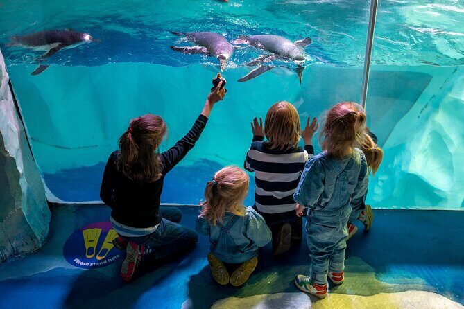 SEA LIFE Birmingham Admission Ticket - FAQ
