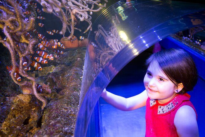 SEA LIFE Birmingham Admission Ticket - Getting There in Birmingham: Easy Access Makes It Easier to Say Yes