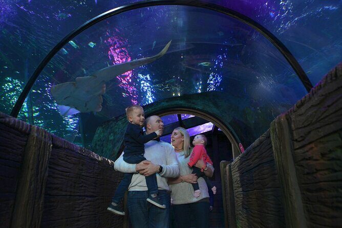 SEA LIFE Blackpool Admission Ticket - Key highlights that make SEA LIFE Blackpool worth your time