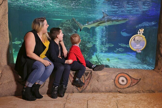 SEA LIFE Blackpool Admission Ticket - The submarine-style section: UFO-like jellyfish and eels