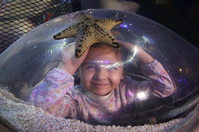 SEA LIFE Blackpool Admission Ticket - Jungle walk-through: turtles, chameleons, and the friendly-warning
