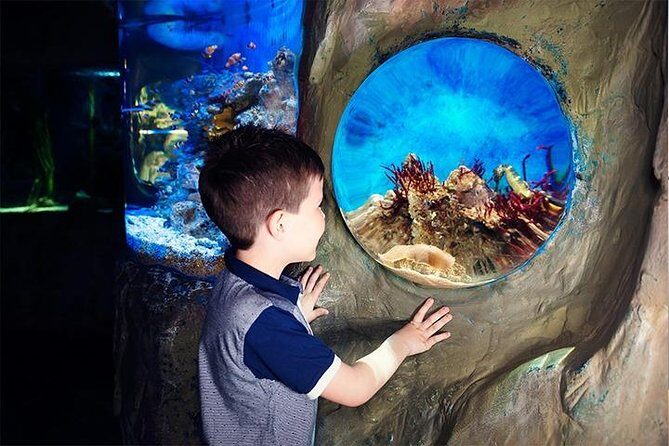 SEA LIFE Blackpool Admission Ticket - Ocean walk-through tunnel and sharks: the big-ticket viewing