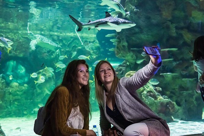 SEA LIFE Brighton Admission Ticket - Getting in Fast: What Prebooked Sea Life Brighton Entry Really Helps