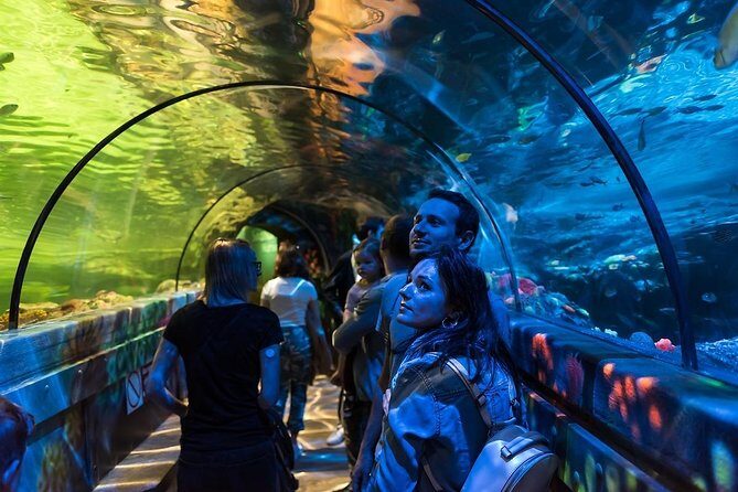 SEA LIFE Brighton Admission Ticket - Sharks, Sea Turtles, and Those Slow Majestic Moments