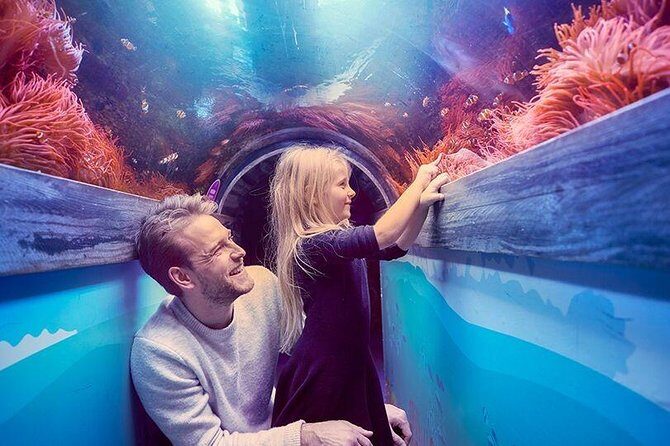 SEA LIFE Brighton Admission Ticket - Claws Exhibit: Japanese Spider Crab and the Art of Powerful Predators