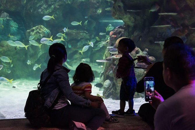 SEA LIFE Brighton Admission Ticket - How Long to Plan: Getting a Relaxed 2-Hour Visit