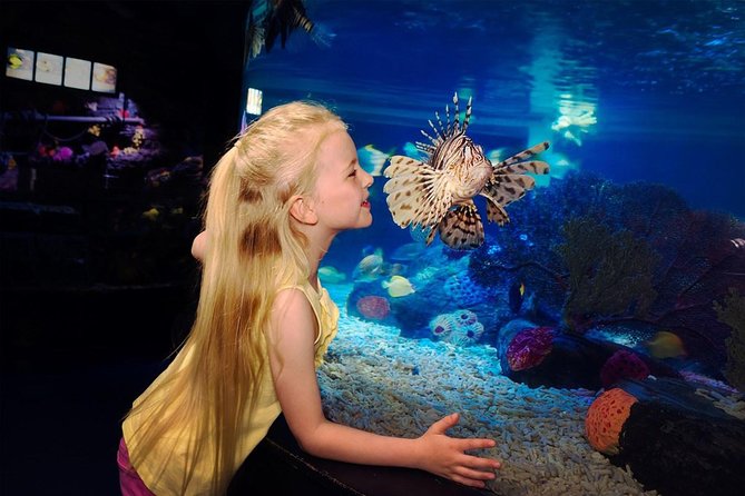 SEA LIFE Great Yarmouth General Admission - General admission at SEA LIFE Great Yarmouth: what you’re buying