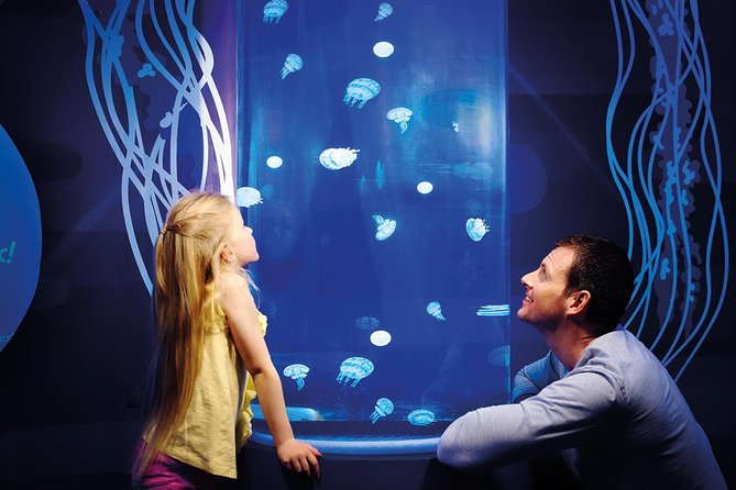 SEA LIFE Great Yarmouth General Admission - Entering the centre and finding your best route in 10 minutes
