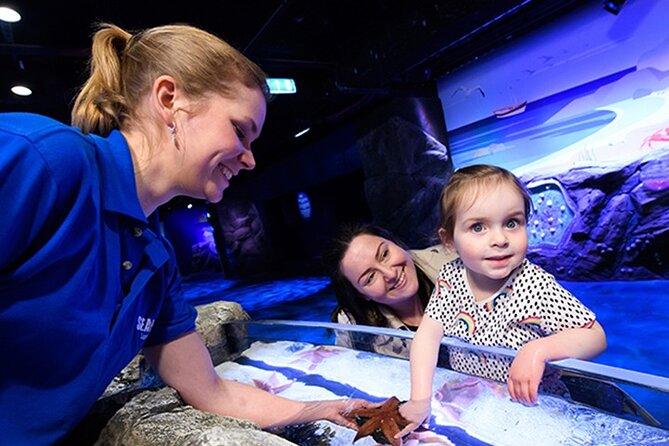 SEA LIFE London Aquarium Admission Ticket - Getting In Smoothly: Mobile Tickets, Time Slots, and the Lead Name Rule