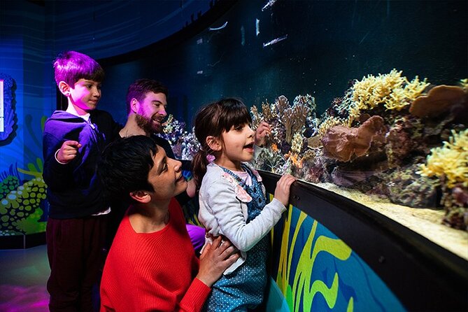 SEA LIFE London Aquarium Admission Ticket - Rainforest Adventure: Amazon Creatures, 360° Views, and the Creep Factor