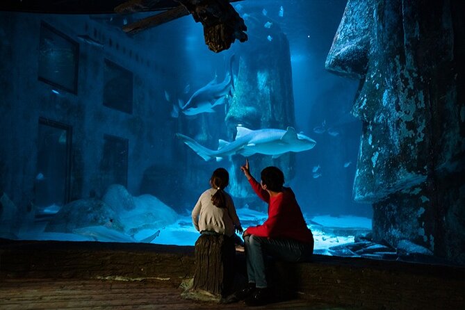 SEA LIFE London Aquarium Admission Ticket - Penguins and the Sea-Life Essentials: Sea Horses, Sea Turtles, and the Best Photo Stops