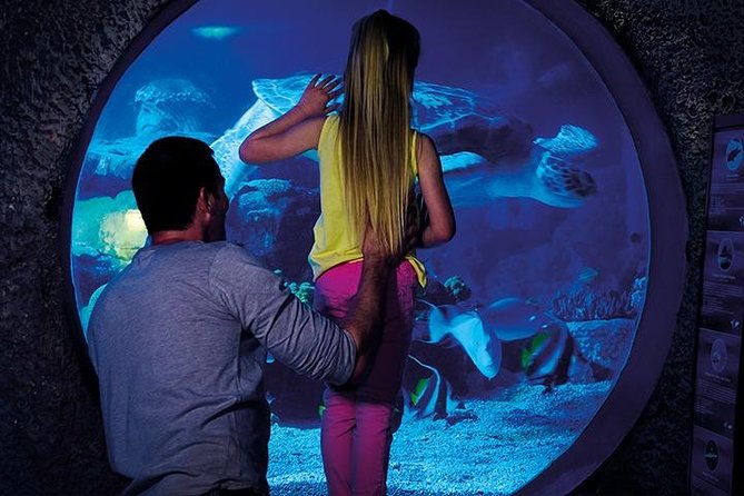 SEA LIFE Manchester Admission Ticket - SEA LIFE Manchester in the big picture: a smart Manchester half-day
