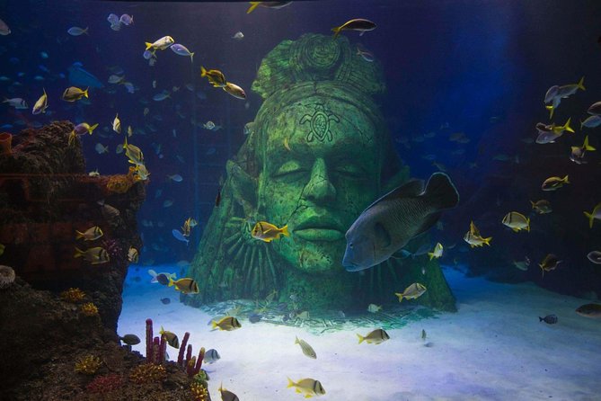 SEA LIFE Manchester Admission Ticket - Staff and experiences: when to add a feeding or snorkel-style option