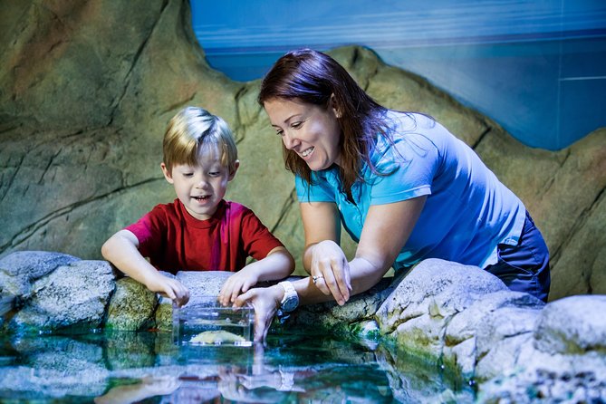 SEA LIFE Manchester Admission Ticket - Who this ticket is best for