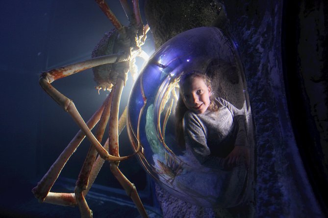 SEA LIFE Manchester Admission Ticket - Should you book SEA LIFE Manchester admission?