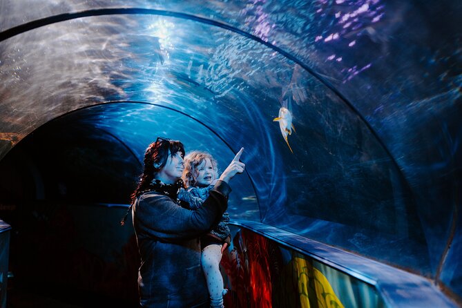 SEA LIFE Weymouth Admission Ticket - Key things to know before you go