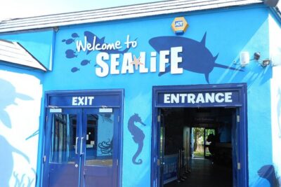 SEA LIFE Weymouth Admission Ticket - Weymouth SEA LIFE Adventure Park: 2,000 creatures and the staff vibe