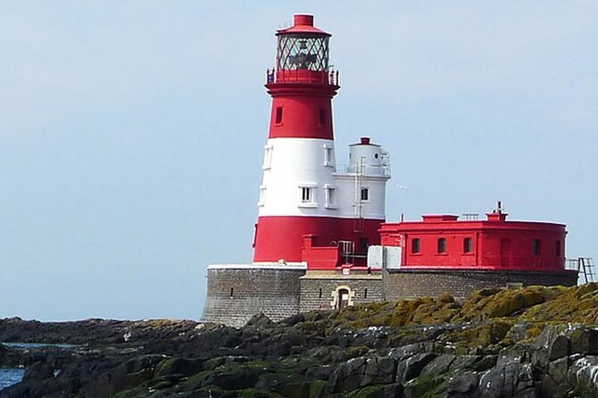 Seabird & Seal Farne Islands Cruise. 1.5 hours long. Departing from Seahouses. - Puffins and seasonal seabirds: when to come for the best chance