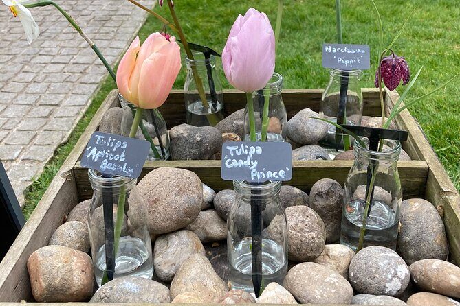 Secret Gardens of London Private Tour - Chelsea Physic Garden: medicinal plants and your afternoon tea pause