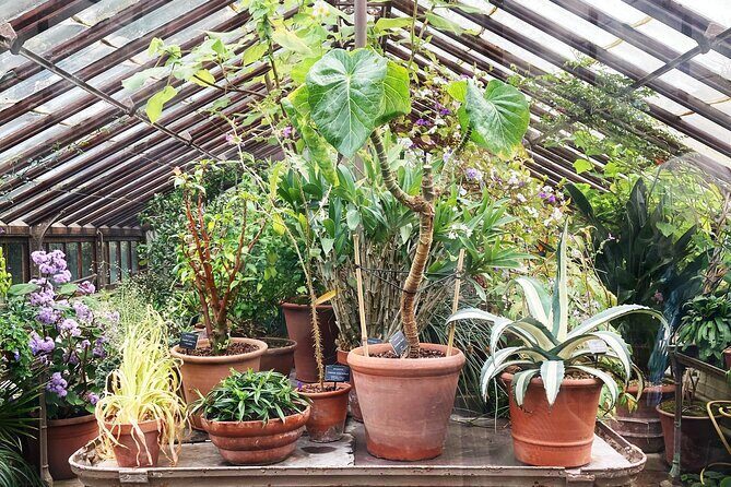Secret Gardens of London Private Tour - How much walking to expect (and how to handle it)