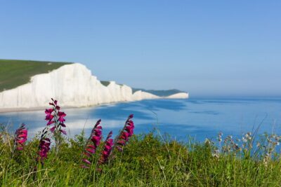 Seven Sisters and Brighton Tour with Train Tickets included - London to Brighton by Train, Then a Minibus to the Cliffs