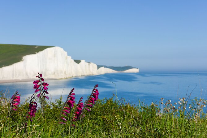 Seven Sisters and Brighton Tour with Train Tickets included - London to Brighton by Train, Then a Minibus to the Cliffs