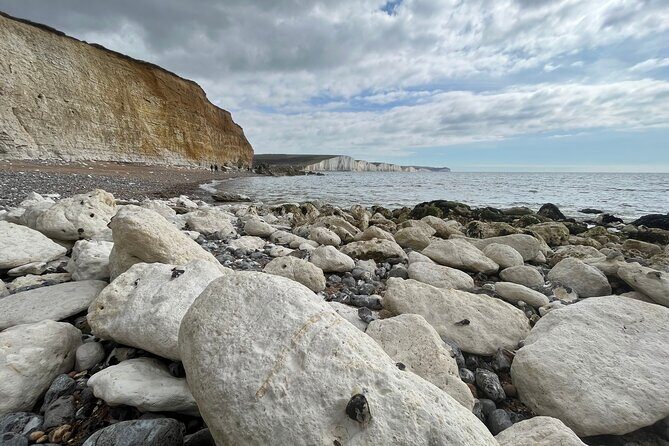 Seven Sisters Private Walking Tour (5+ ppl) Cuckmere/Beachy Head - Stop 4: Saltmarsh Farmhouse Cafe break and the Friston Forest climb
