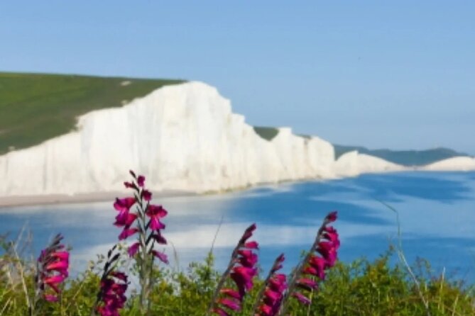 Seven Sisters & South Downs Tour with Train Tickets Included - Value check: $117.89 with trains, transfers, and the useful extras