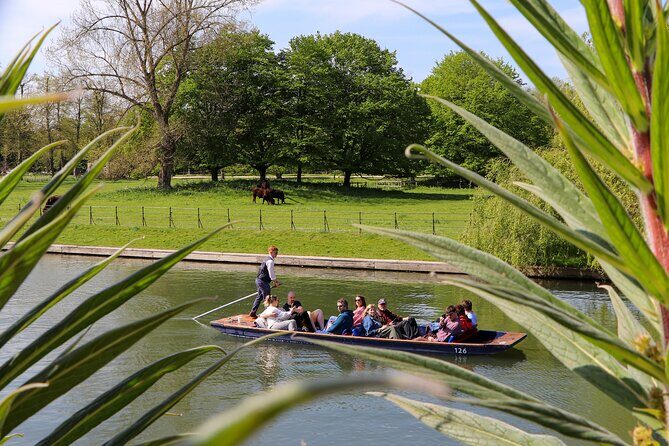 Shared Chauffeured Punt Tour - Clare College and Clare College Gardens: a stop designed for the view
