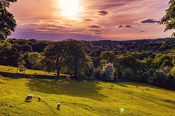 Sheffield Tour App, Hidden Gems Game and Big Britain Quiz (1 Day Pass) UK - Stop 2: Sheffield Botanical Gardens for a calmer clue pace