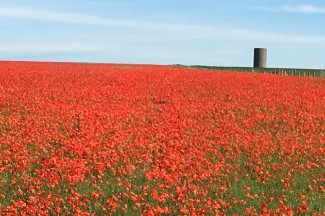 Shore Excursion Stonehenge & Salisbury Cathedral (Magna Carta) - Who This Tour Is Best For (And Who Should Skip It)
