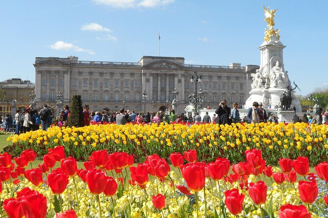 Small Group Changing the Guard & Buckingham Palace tickets - Where you meet at Westminster and how the pacing works