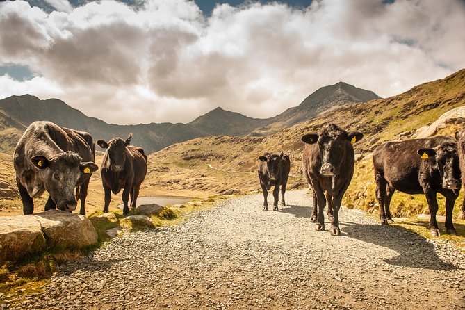 Snowdonia & Chester Day Tour from Manchester Including Admission - What to pack and how to keep the day from feeling frantic