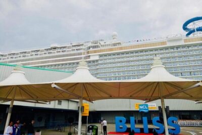 Southampton Cruise Terminals to London Private Arrival Transfer - Choosing Your Disembarkation Pickup Time Like a Pro
