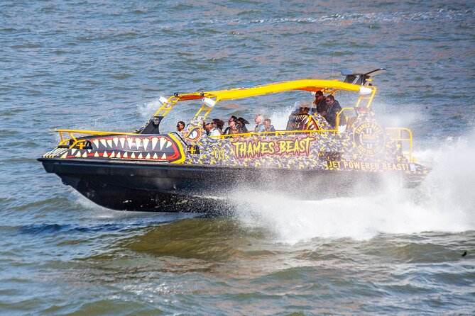 Speedboat 'THE THAMES BEAST' from Tower Millennium Pier - 40 mins - Who should book this speedboat (and who should skip it)