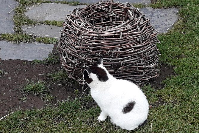 Steam Trains and Castles with qualified Isle of Man Tour Guide - Cregneash Folk Village for Manx sheep and cats