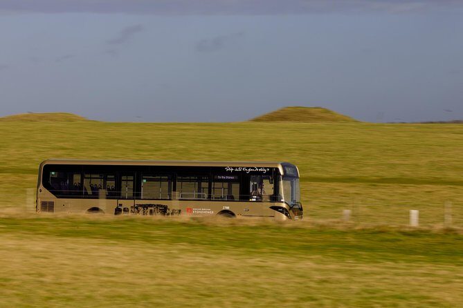 Stonehenge Shuttle Bus from London with Optional Fish & Chips - Weather, delays, and the coach experience: small risks to plan for