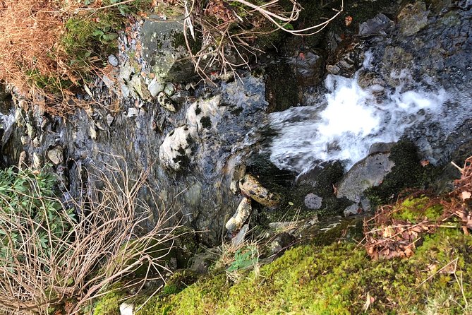 Stunning Lake District 4 Hour Tours! - What to Bring (So the 4 Hours Feel Easy)