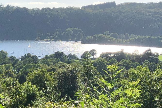 Stunning Lake District 6 Hour Tours! - Aira Force Waterfall and woodland walk: a break from open views