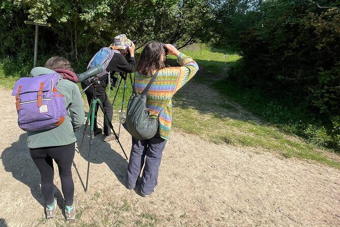 Sussex Birdwatching Private Guided Day Tour - Price and Value: What $329.10 Means for a Private Up-to-Four Day