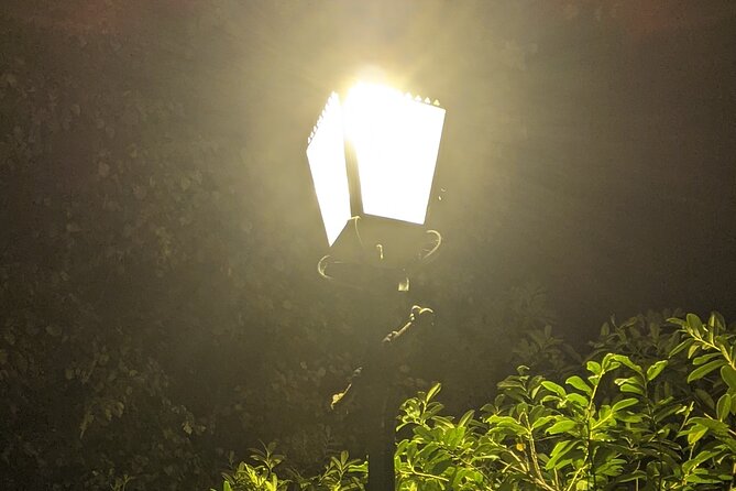 The Sinister Side of Shakespeare's Stratford Walking Tour - How Families and Night Walkers Should Think About the Tone