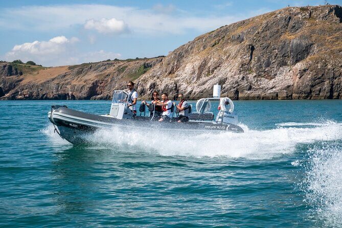 Torquay Coastal RIB Seafari - Thatcher Rock: the seal haul-out stop