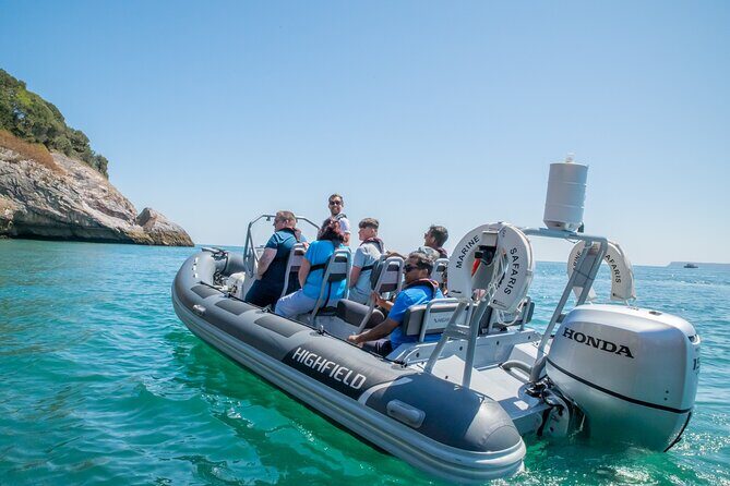 Torquay Coastal RIB Seafari - Price and value: what $51.30 buys you